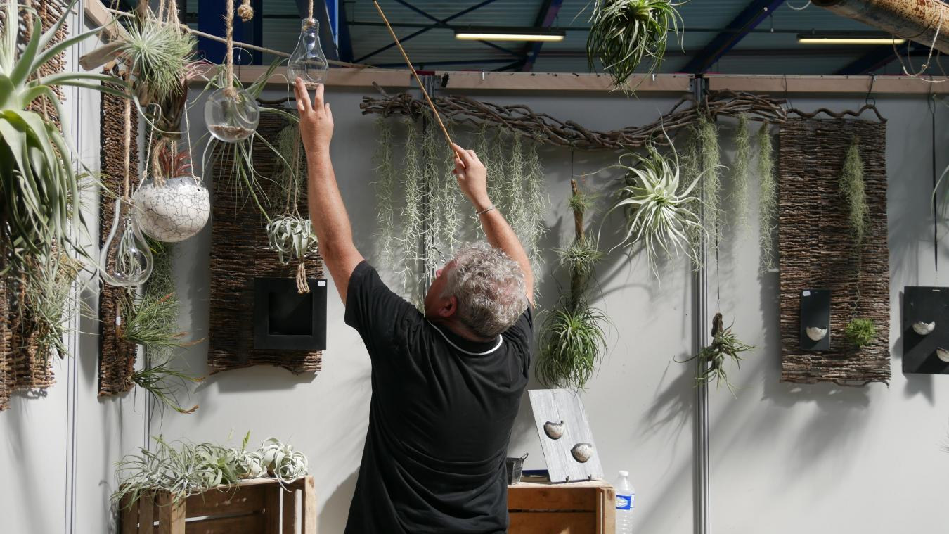 Le salon des idées déco débute ce jeudi à Reims